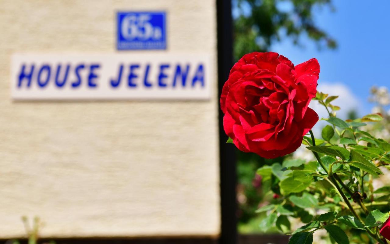 Апартаменты House Jelena Селиште-Дрежничко Экстерьер фото